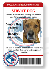 Service dog handler for sale  Westland