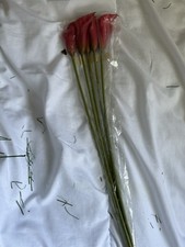 Burgundy calla lily for sale  MUSSELBURGH