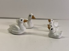 Miniature white ducks for sale  Marionville