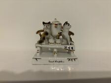 Conta boehme cats for sale  FARNBOROUGH