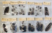 Usado, Material de pesca com mosca comprar usado  Enviando para Brazil