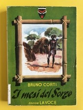 Bruno corti mesi usato  Firenze