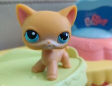 Authentic lps littlest for sale  USA