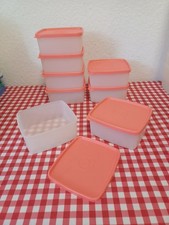 Tupperware gefrierbehälter k� gebraucht kaufen  Bad Nauheim