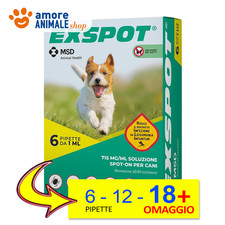 Exspot spot 18 usato  Serra de Conti