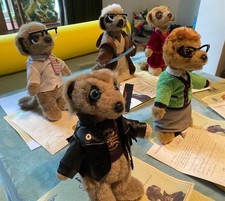 Meerkat soft toys for sale  GUILDFORD