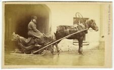 Cdv 1870 william d'occasion  Montargis