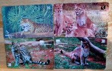 4 cartões telefônicos de gatos selvagens. PUMA. LEOPARDO. PANTHER. ONCA PARDA. Algumas marcas de comprar usado 4 cartões telefônicos de gatos selvagens. PUMA. LEOPARDO. PANTHER. ONCA PARDA. Algumas marcas de comprar usado  Enviando para Brazil