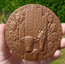 Médaille bronze caisse d'occasion  Plémet
