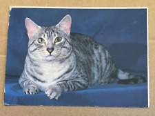 1994 used postcard for sale  Saint James