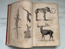 Livre sciences naturelles d'occasion  Aubagne