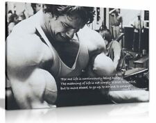 Arnold schwarzenegger bodybuil for sale  LONDON