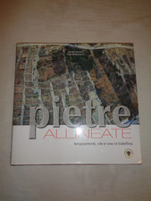 Pietre allineate terrazzamenti usato  Lecco