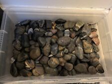 Large aquarium rocks for sale  BUXTON