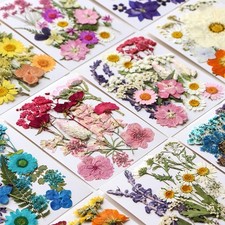 Set materiali fiori usato  Spedire a Italy