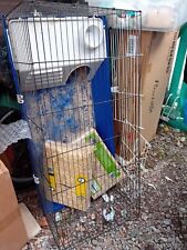 Guinea pig rabbit for sale  KINLOCHLEVEN