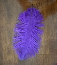 Purple ostrich feathers for sale  Saint Louis