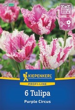 Kiepenkerl tulpenzwiebeln purp gebraucht kaufen  Aurich