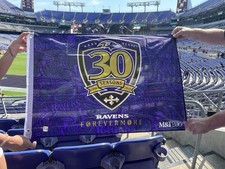 Nfl baltimore ravens for sale  Cambridge