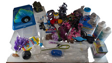 Freshwater aquarium starter for sale Freshwater aquarium starter for sale  Forest Grove