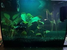 Fluval flex gal for sale  Scottsdale