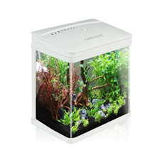 Nobleza nano acquario usato  Roccagloriosa