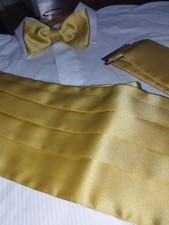 Satim pleated cumberband for sale  GREENHITHE