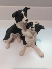 Pair border collie for sale  HEATHFIELD