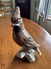 Waxwing china bird for sale  COOKSTOWN
