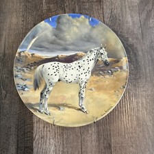 Spode 1990 appaloosa for sale  Rineyville