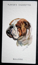 BULDOGUE INGLÊS Vintage 1955 Cartão Retrato de Cachorro EE18 comprar usado  Enviando para Brazil