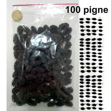 100 pigne ontano usato  Italia