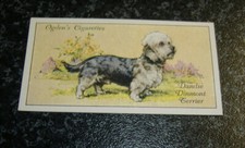 Ogdens dogs no39 for sale  UK