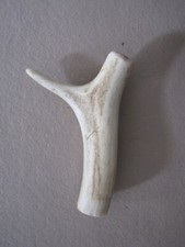 Deer antler walking for sale  BIRMINGHAM