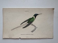 1833 jardine naturalist for sale  Brooklyn