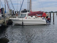 Quicksilver 620 trailer gebraucht kaufen  Ahaus