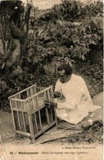 Cpa hova bird d'occasion  Expédié en Belgium