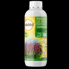 Olio bianco vegetale usato  Grottaferrata