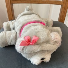 Little live pets for sale  NEWRY