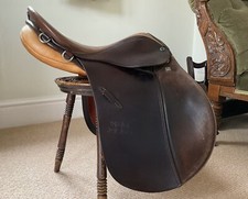 Stubben rex pony for sale  STRATFORD-UPON-AVON