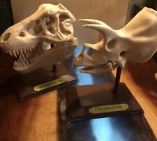 Tyrannosaurus rex triceratops for sale  North Tonawanda