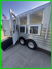 2020 star horse for sale  Benton Harbor
