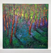 Quadro dipinto paesaggio usato  Vodo Cadore