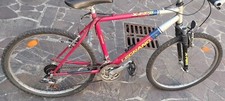 Bicicletta mtb ragazzo usato  Desio