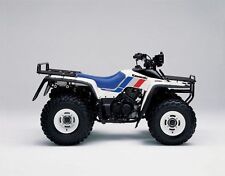 Kawasaki bayou klf300 d'occasion  Expédié en Belgium