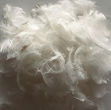 Lbs fine white for sale  Cambridge