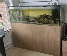 6ft aquarium fish for sale  DUNSTABLE