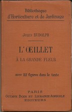 Oeillet grande fleur d'occasion  France
