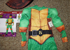 Tmnt teenage turtles for sale  Davison