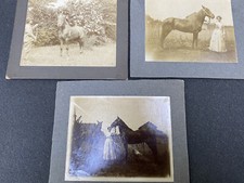Vtg horse real for sale  Ypsilanti